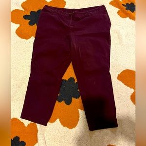 Lane Bryant size 24 pants